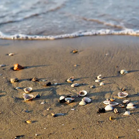 Lägenhet In 24609 *