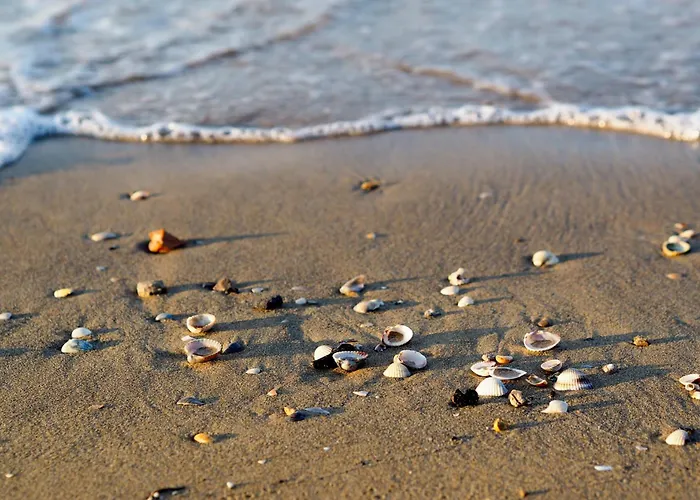 Lägenhet In 24609 *